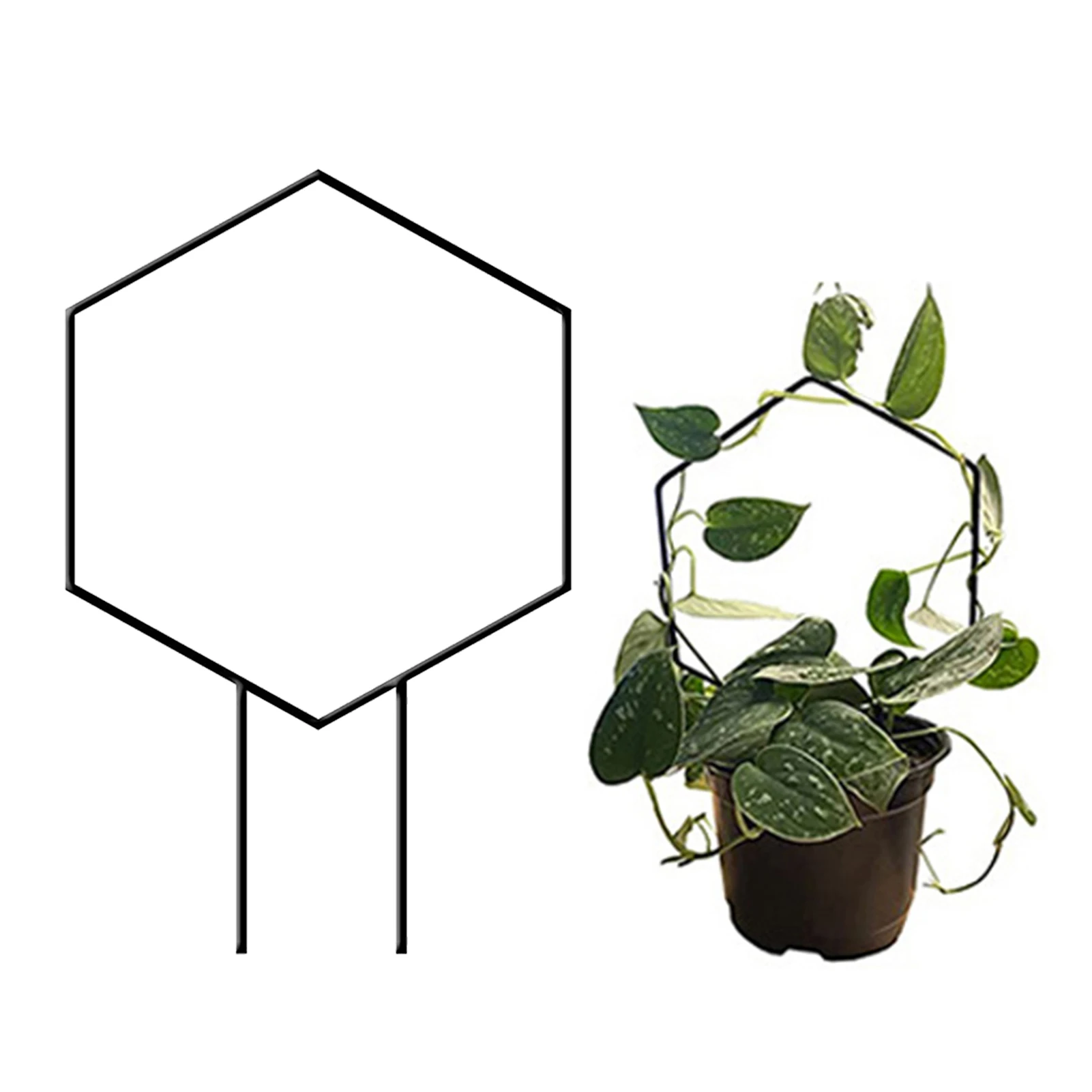 

Plant Support Frame Garden Trellis Metal Garden Climbing Trellis Flower Plants Vegetables Rattan Stand Plant Holder Garden Tool