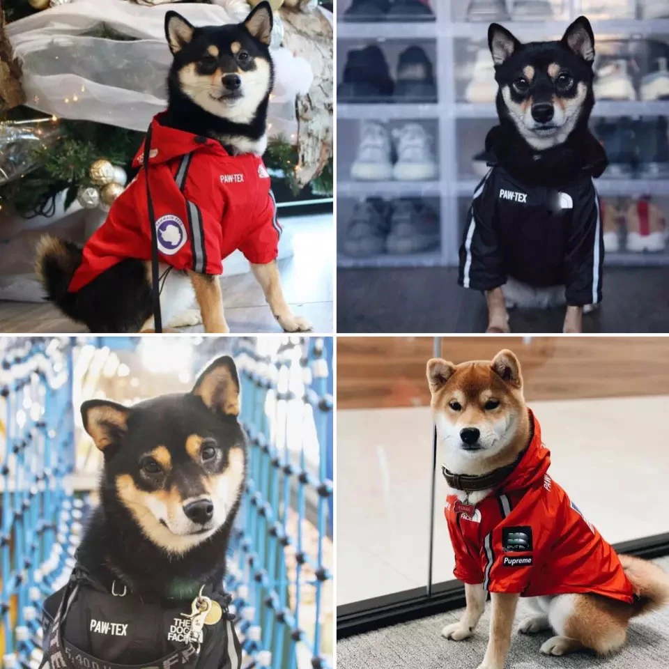 

Pet Clothes Fashion Dog Raincoat Windproof Waterproof Dog Jacket Windbreaker French Bulldog Reflective Coats Large Dogs