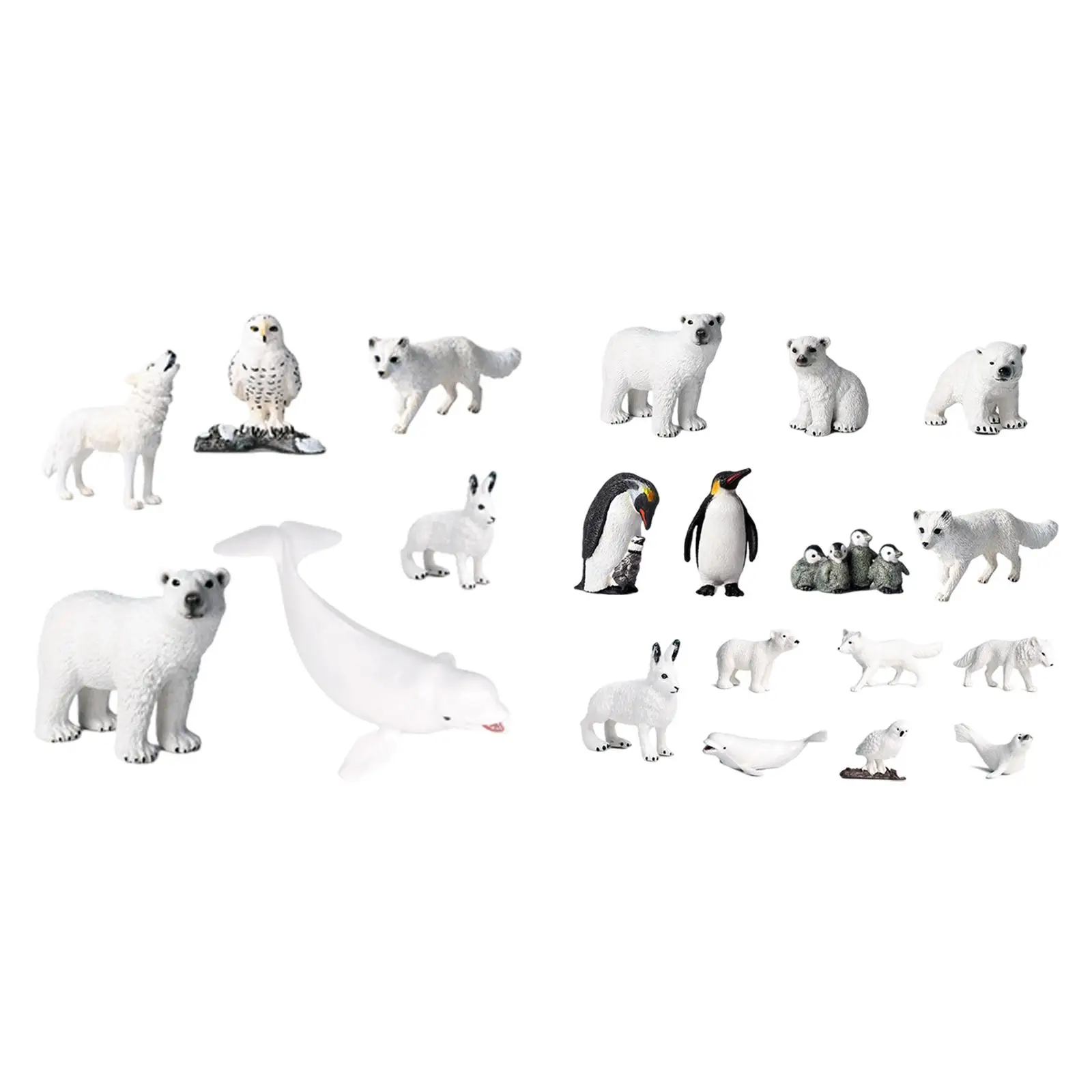 

Polar Animal Model Polar Bear Animal Model Arctic Rabbits for Kindergarten