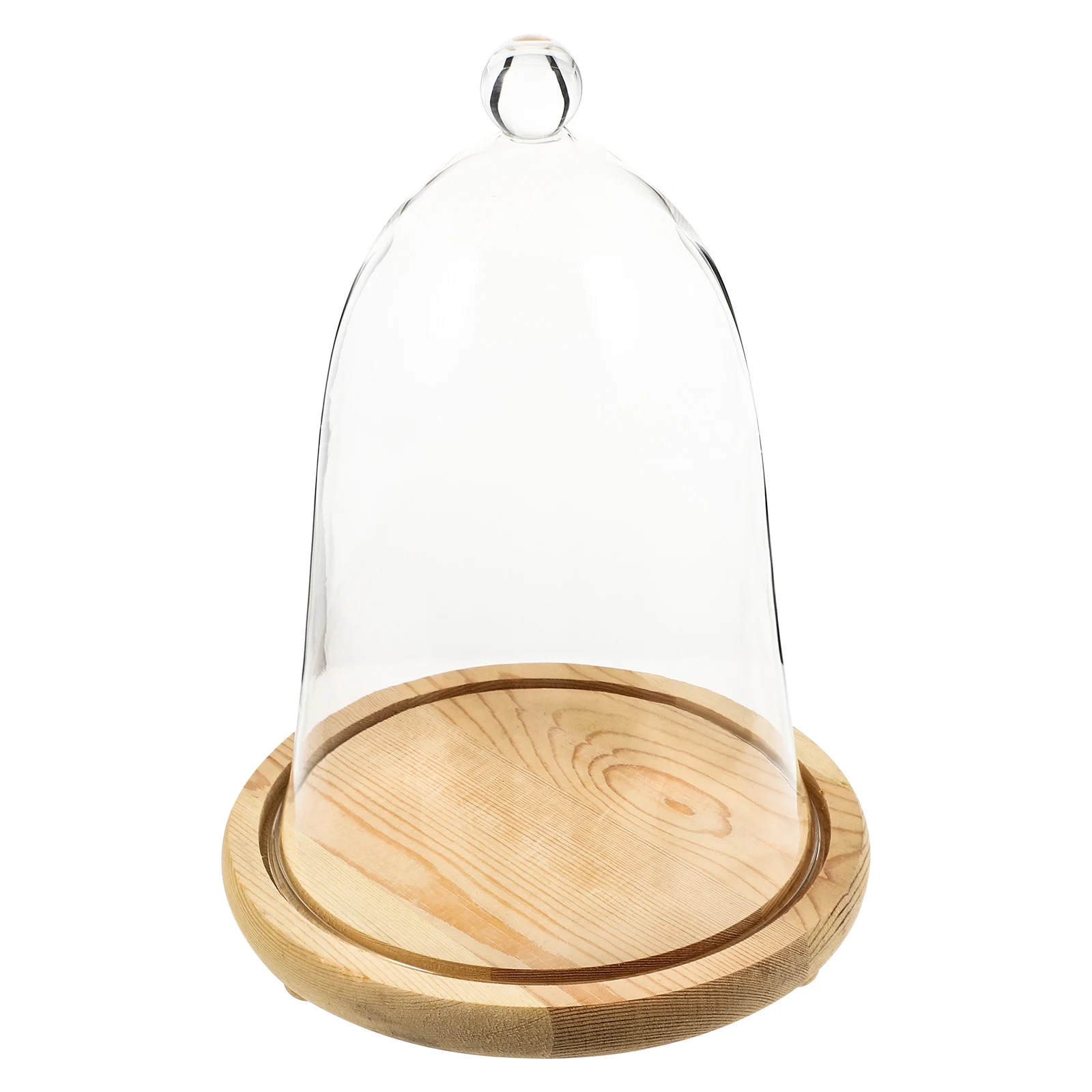 

Domecover Cake Bell Plate Cloche Display Jar Mini Flower Dessert Preserved Terrarium Centerpiecesucculent Decor Cupcake Tray