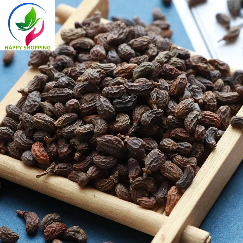 Фрукты глянцевого лигустрия люцида бесплатная доставка Холли люцид zhenzi |