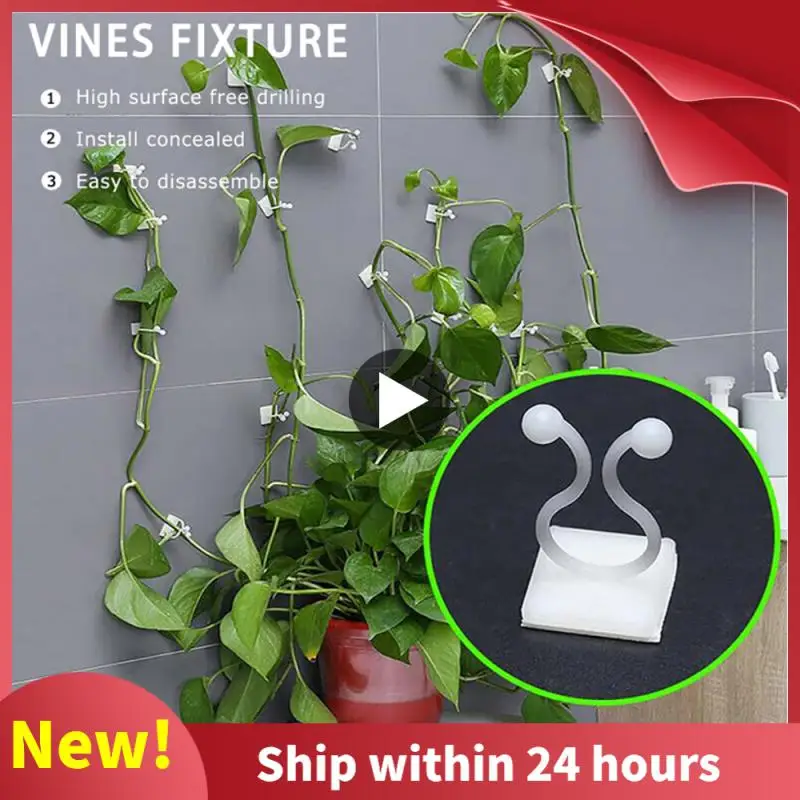 

1Pcs Plant Climbing Wall Fixture Clips Rattan Vine Fixer Self-Adhesive Hook Garden Binding Fixed Clip Wall Sticky Clip Bracket
