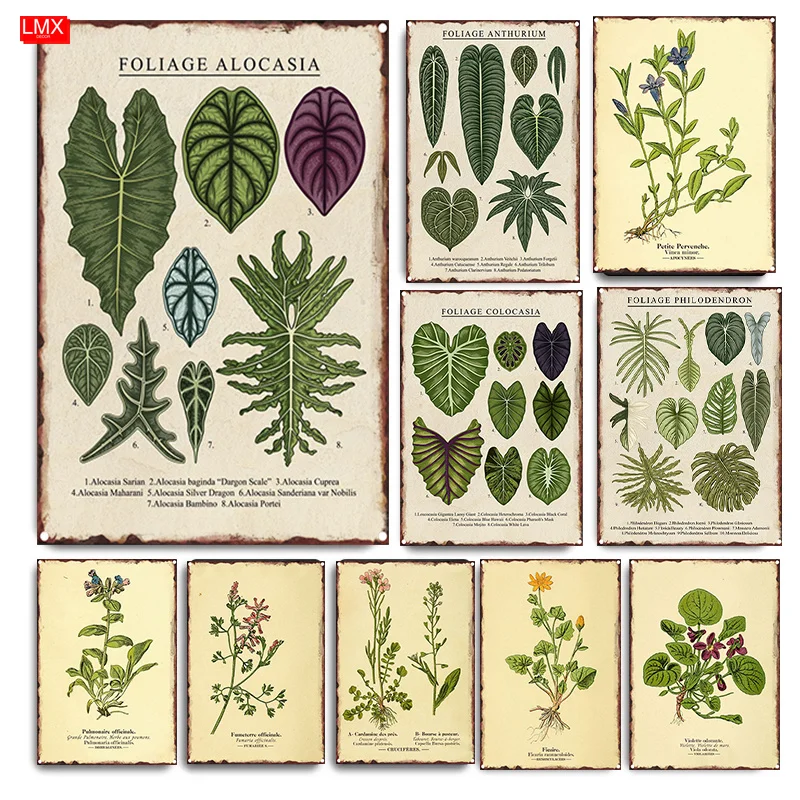 

Vintage Wild Botanical Leaf Metal Plaque Mural Foliage Philodendron Study Living Hanging Aesthetic Club Bar Wall Painting Decor