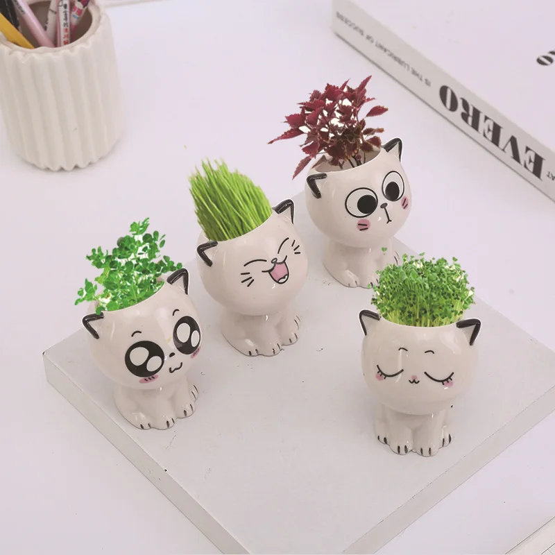 

Керамический цветочный горшок в форме мини кошки, мультяшное милое растение в горшке, настольное выражение кошки, растение, горшок для украшения стола, маленькое украшение