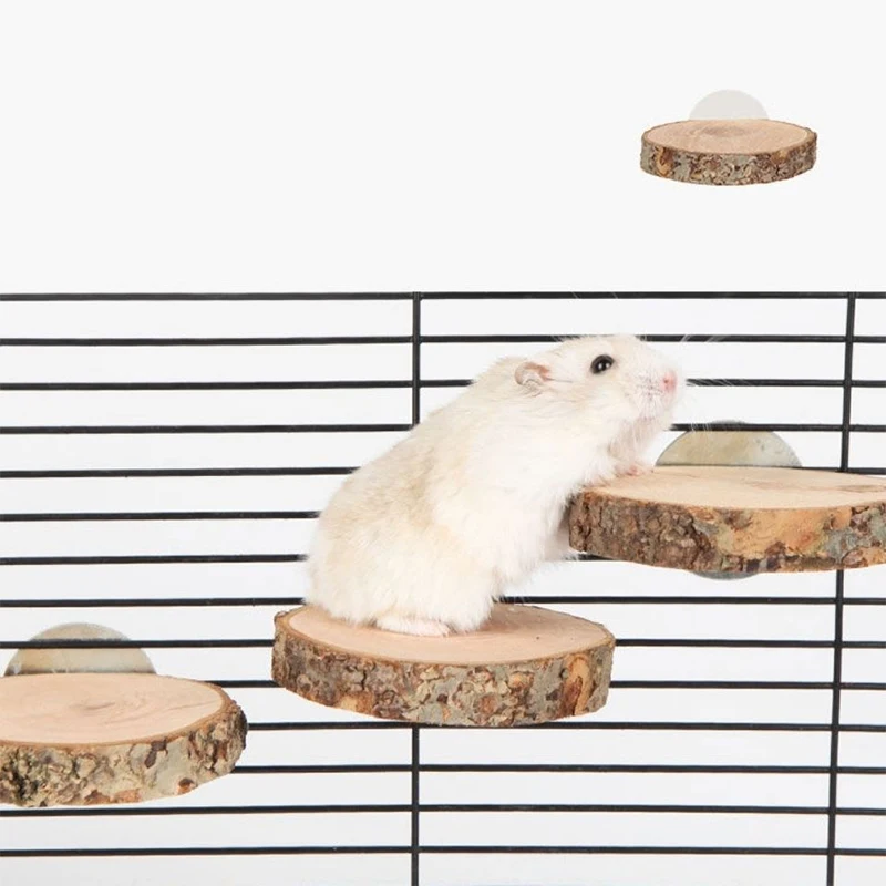 

Round Wooden Squirrel Parrot Bird Perch Stand Platform Pet Bird Squirrel Chinchilla Wooden Pet Supplies Toys Diving Platform