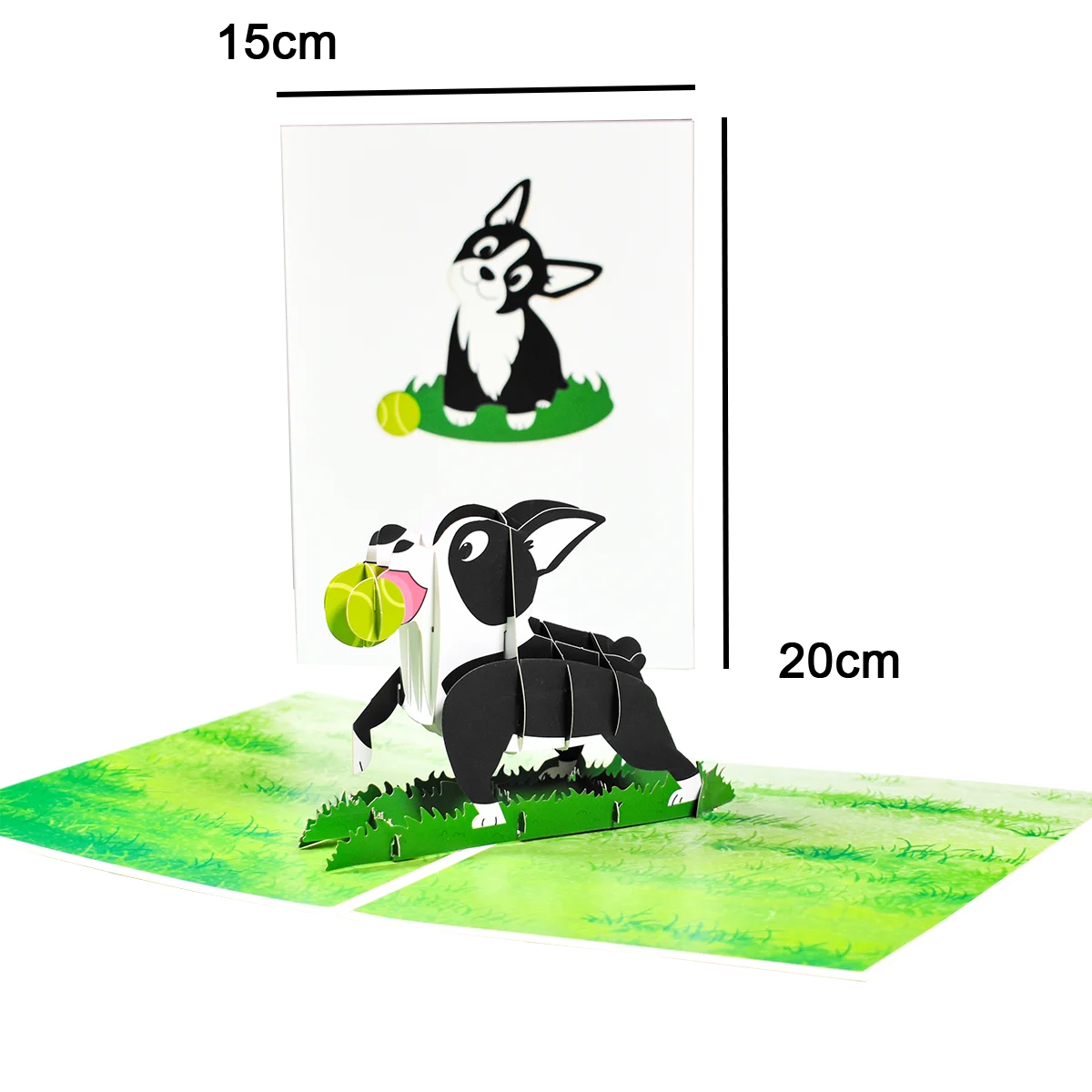 

3D открытка с животными Magic Ants