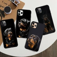 rottweiler dog phone case for iphone 12 11 13 7 8 6 s plus x xs xr pro max mini shell