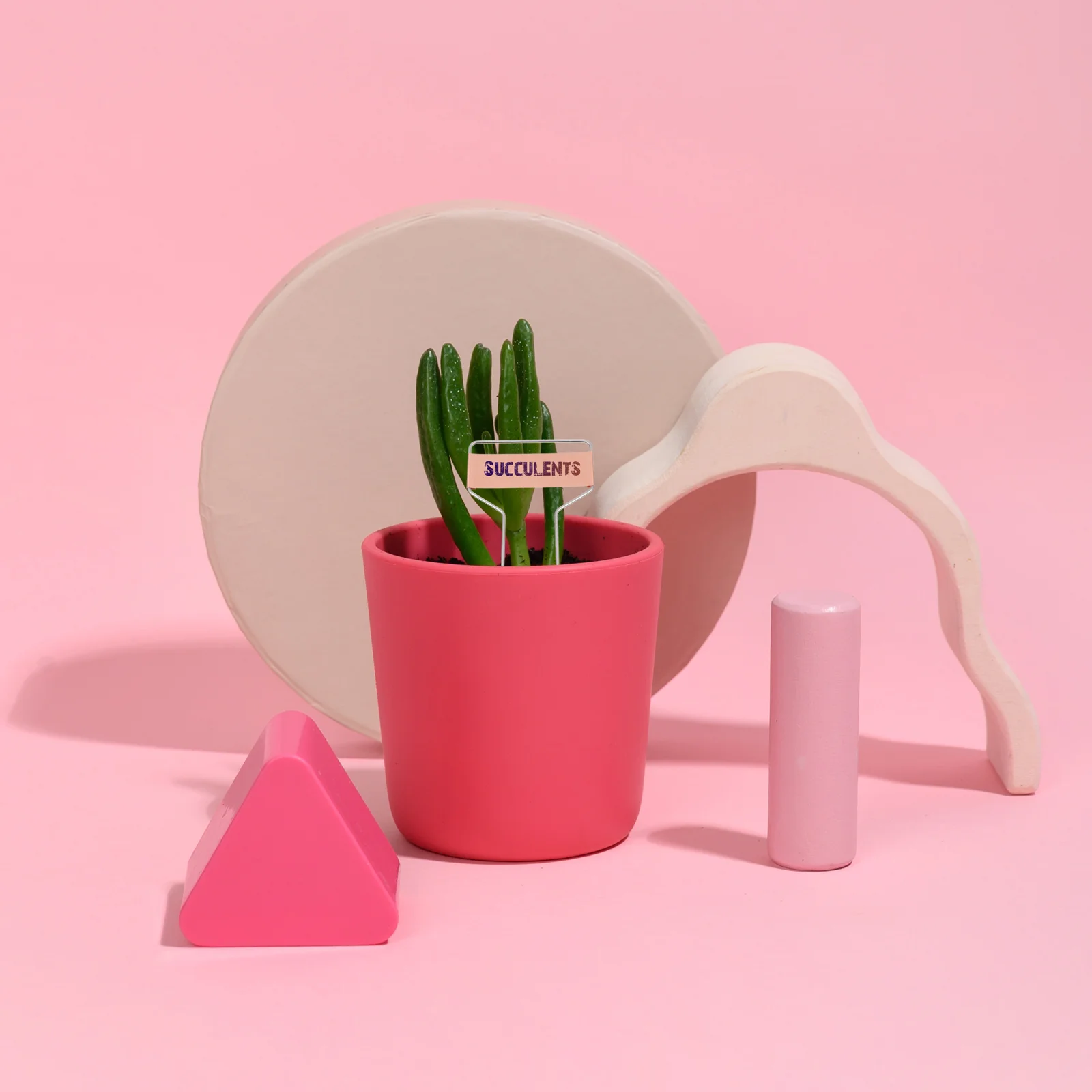 

15 Pcs Nursery Labels Flower Embellishments Garden Markers Signs Tag Tree Labels Cake Decorating