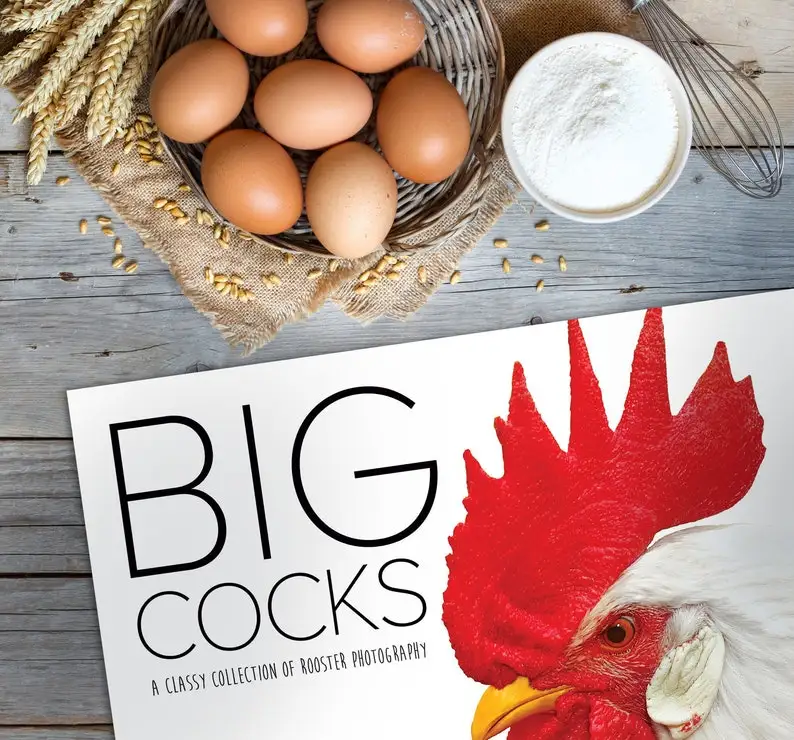 

2022 Big Cocks Calendar Creative Funny Animal Calendar Gift Decor