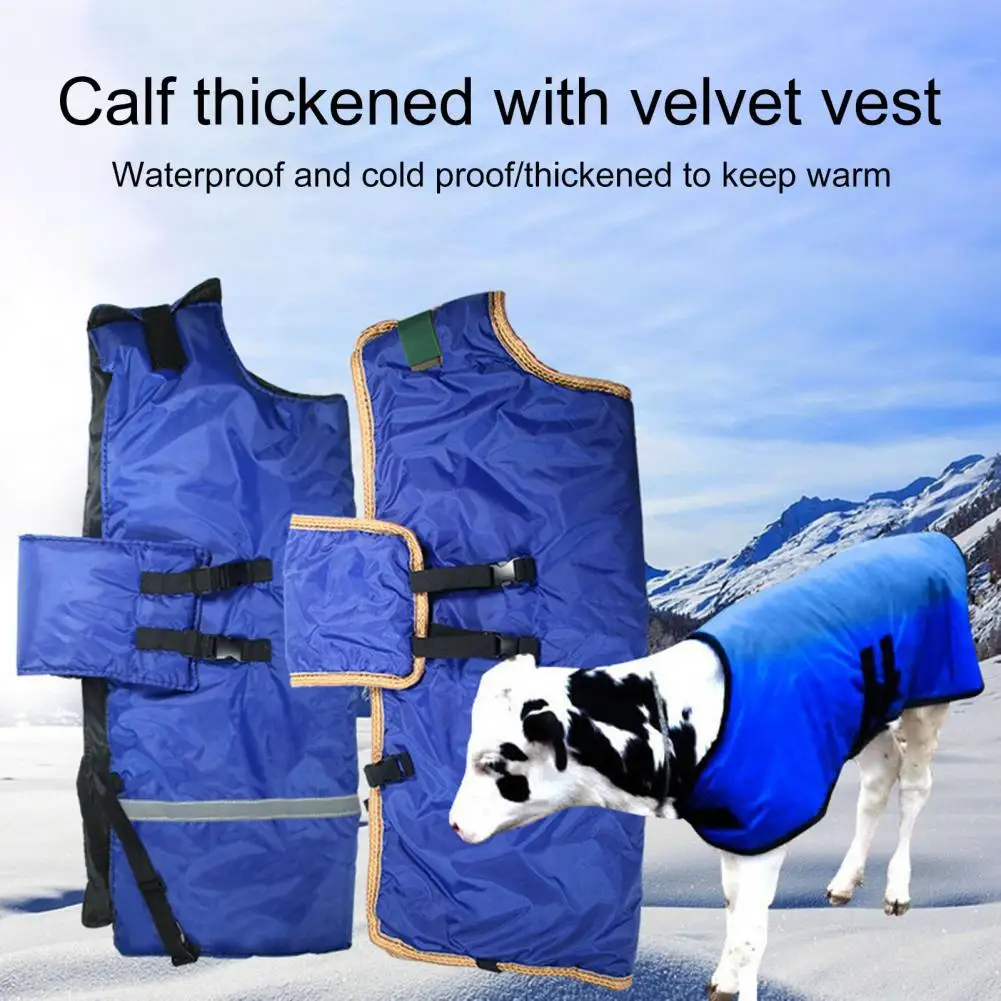 

Farm Cow Calf Vest Cold Protection Waterproof Belly Protection Comfortable Calf Lamb Warm Jacket Clothes Farm Supplies