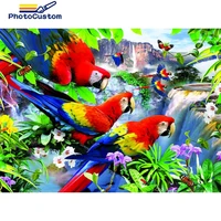 photocustom paint by number bird animals diy pictures by number for adult kits home decor drawing on canvas handpainted art gift