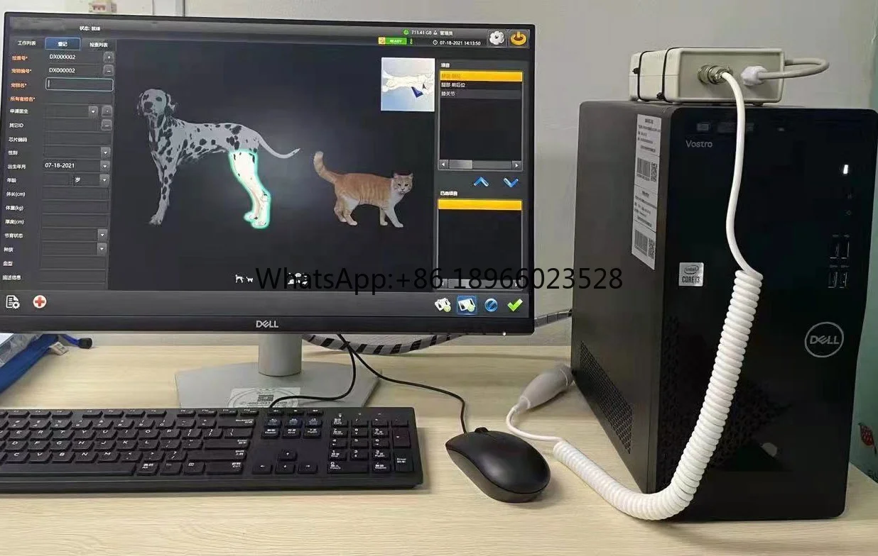 Специальное предложение 17*17 дюймов медицинская цифровая dr панель проводной 1717