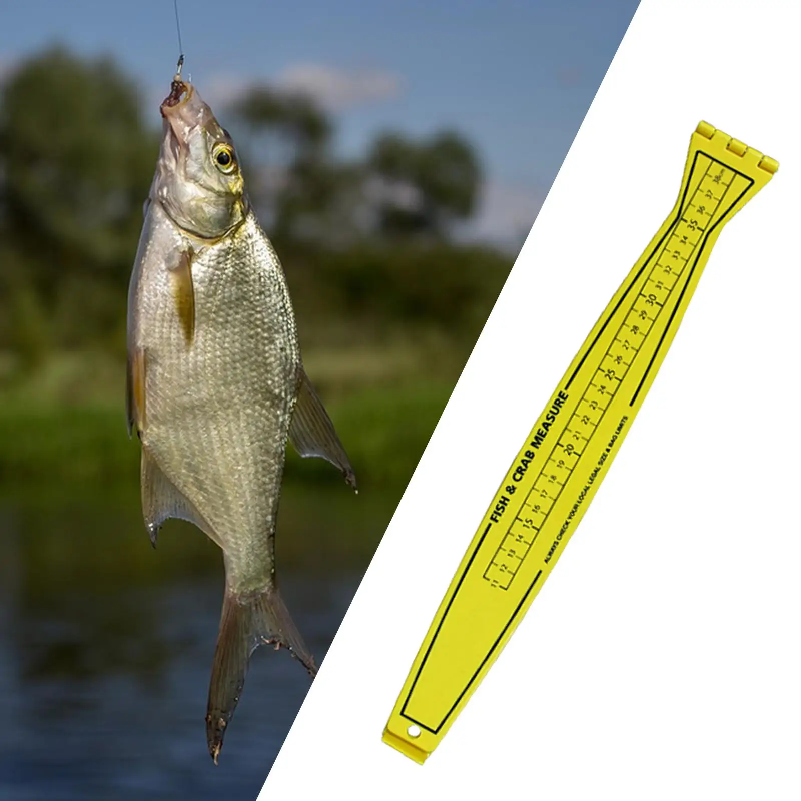 

31in Fish Ruler Easy to Clean Accurate Easy to Install Measurement Tool Plastic Fish Measuring Ruler for Yachts Kayaks Fishing