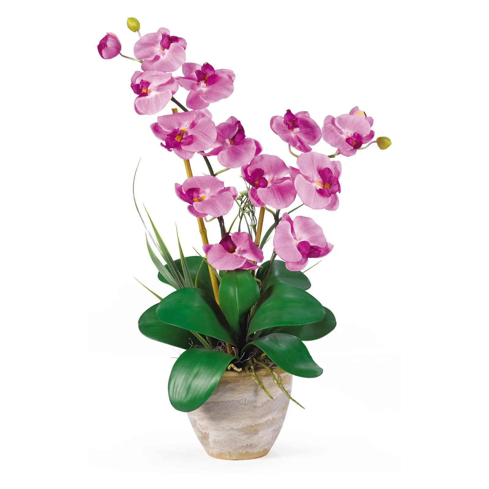 

Double Phalaenopsis Silk Orchid Flower Arrangement, Mauve