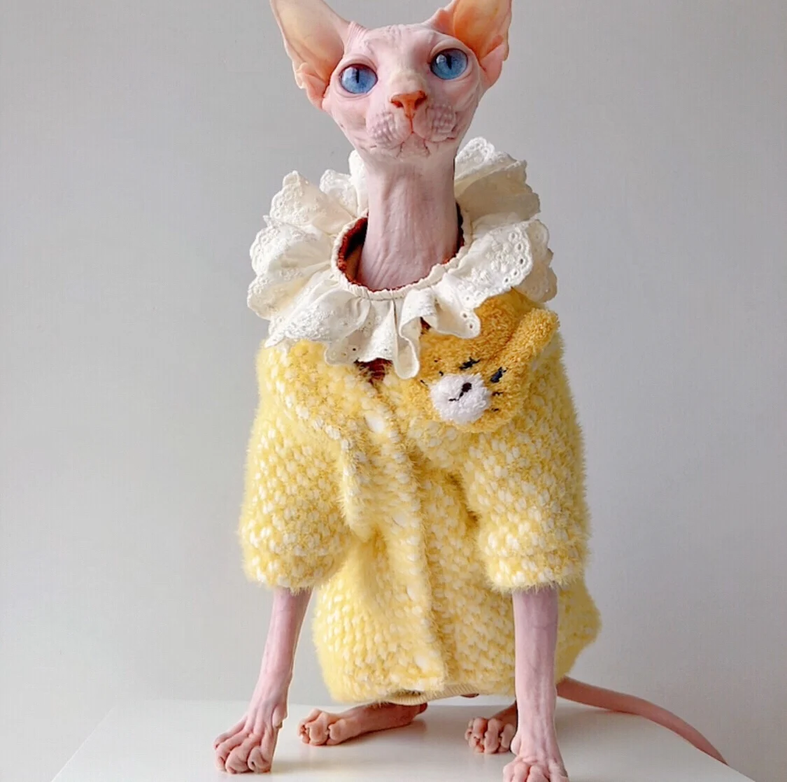

Вельветовый свитер C & C с изображением котенка из норки Devon Rex, одежда для кошек, теплая зимняя куртка с изображением сфинкса, котенка, одежда для кошек без волос