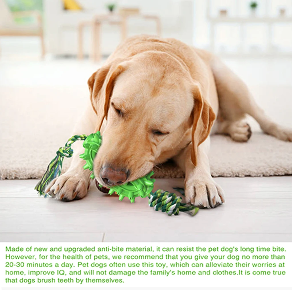 

Pets Chewing Toy Teeth Grinding Practicing Toys Entertainment Interactive Playing Supply for Home Outdoor Garden Green