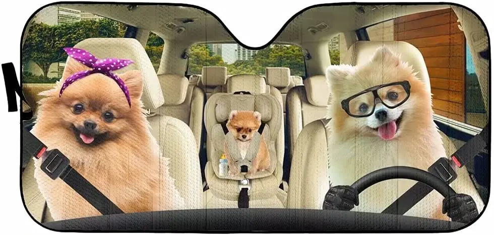 

Fawn Pomeranian - Parabrisas delantero para coche, coche, furgoneta, SUV
