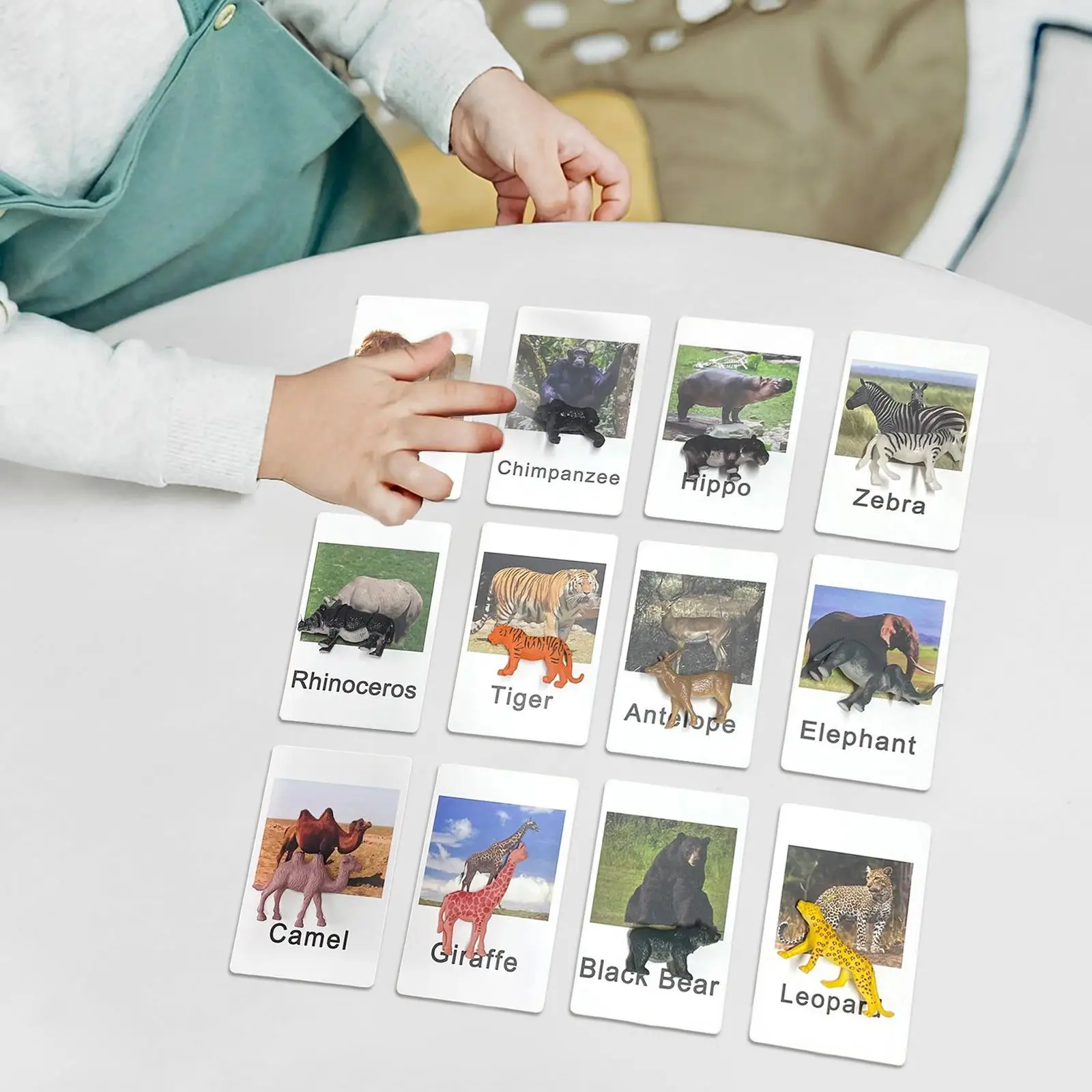 

12 Pieces Animal Matching Game Playset Birthday Gifts Boys Girls Kids Unisex