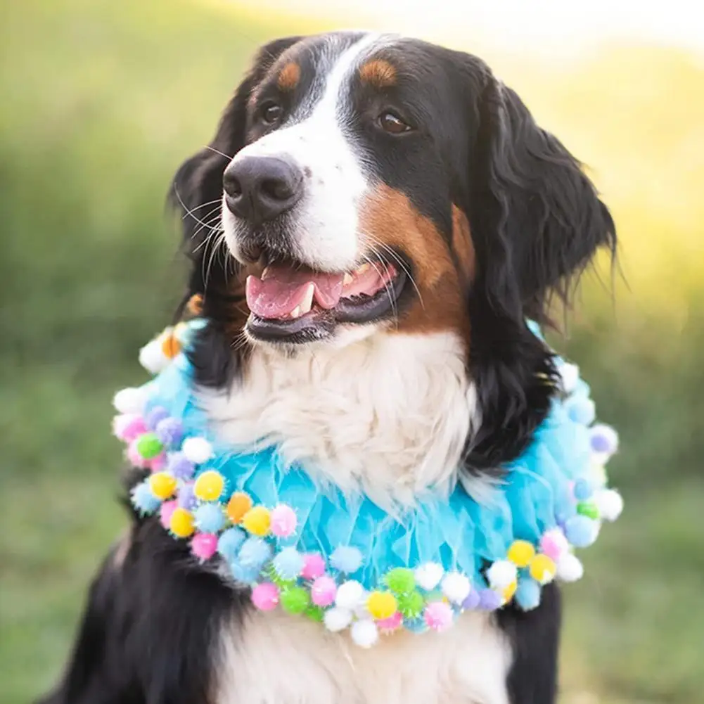 

2Pcs/Set Pet Birthday Headwear Lovely Party Dress Up Costume Puppy Cap Net Yarn Collar Set with Pompom Balls