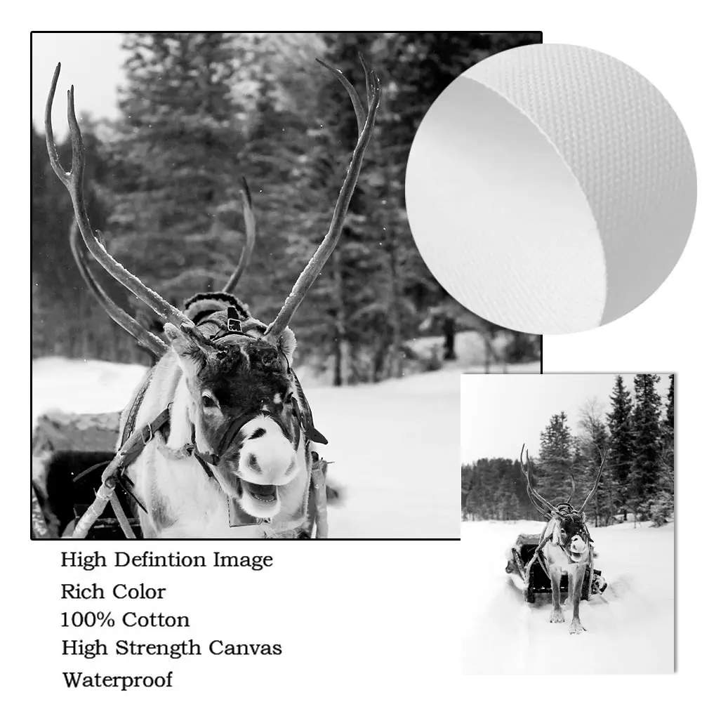 Черный белый зимний пейзаж постер снежный лес хижина рельс лижный подъемник