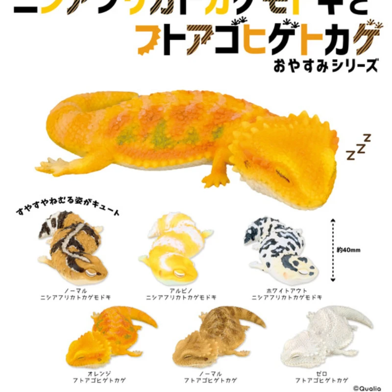 

QUALIA игрушка гачапон фигурки животных Pogona Vitticeps ящерица Hemitheconyx, орнамент, модель, кукла, игрушки, подарки для детей