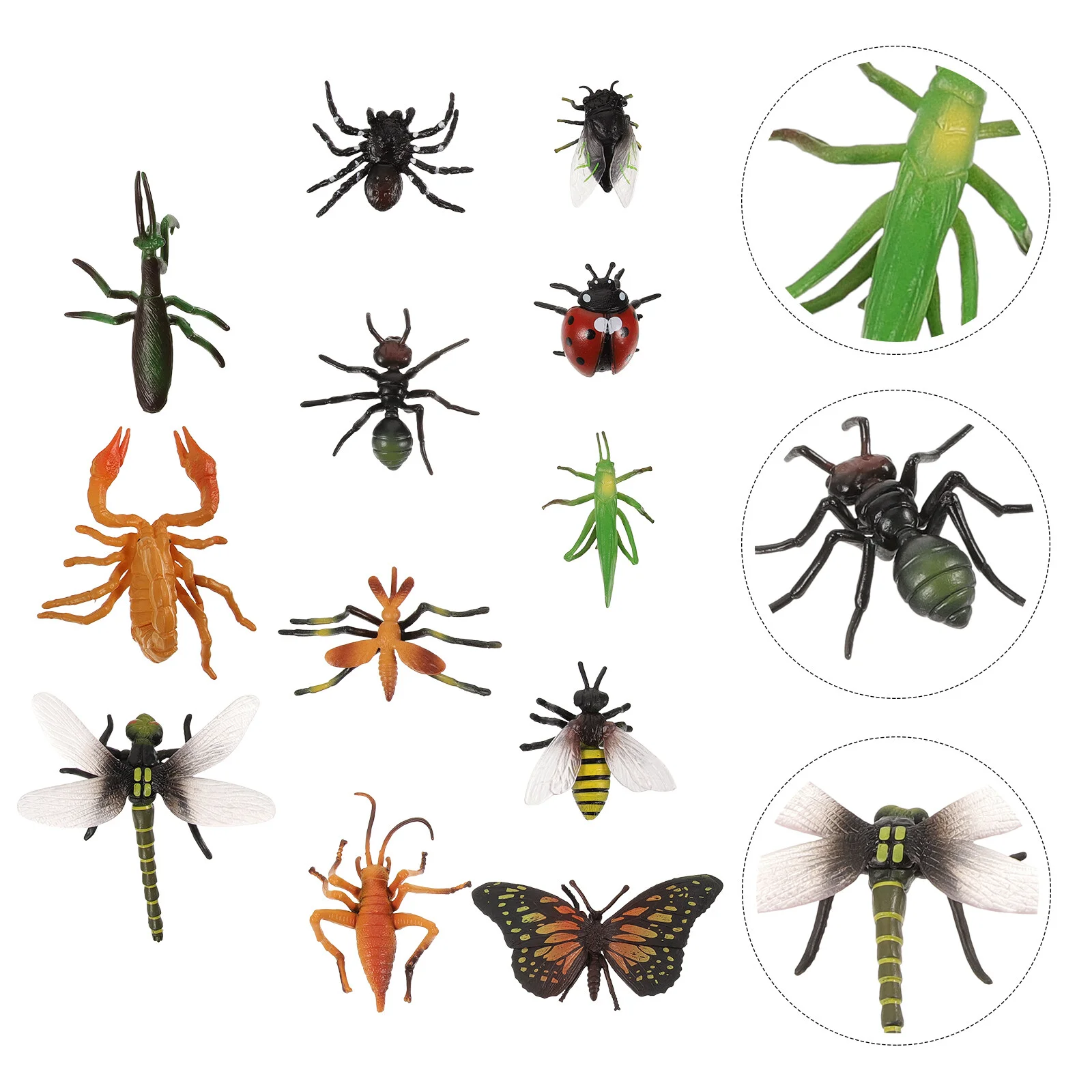 

12 Pcs Kids Suits Beetle Insects Figure Realistic Toys Cognitive Animal Pvc Figurine Animals Models Child