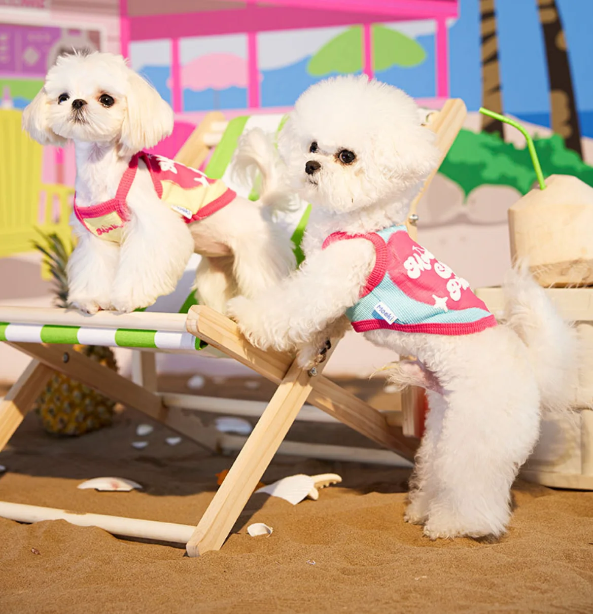 

Pet Clothes Dog Cat Marquis Fadoubi Bear Dog Spring Summer Small Dog Clothes