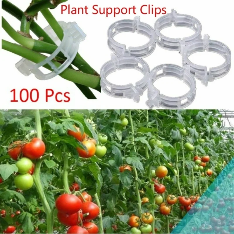 

30/50/100Pcs Garden Plant Vines Tied Buckle Fixed Lashing Hook Agricultural Greenhouse Vegetable Gadget Garden Plastic Planters