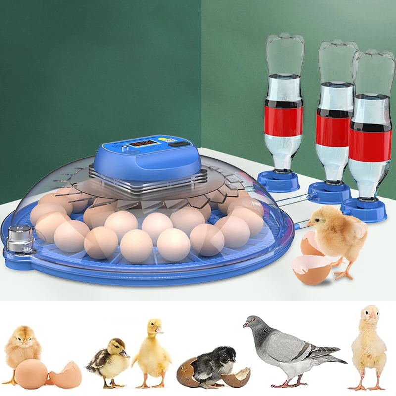 

52 Eggs Incubator Automatic Egg Incubator for Egg Turning Chicken Duck Quail Birds Brooder Incubation Machine EU/US/AU/UK Plug