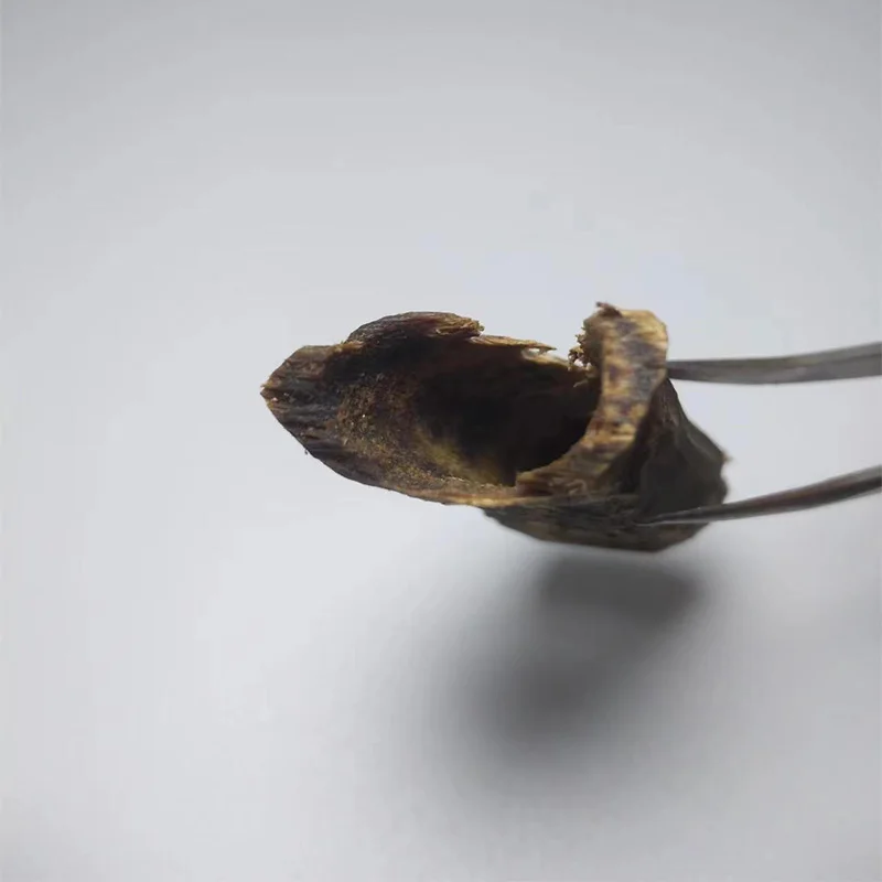 

Cambodia High-Quality Rare Agaric Wood Oud Oudh Chip
