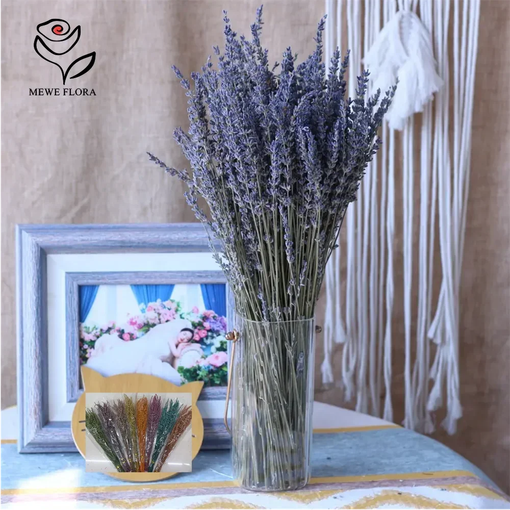 מאגר הקופונים הסודי של עליאקספרס! 300+ קופונים למוצרים מבוקשים! 1650 Se40677c68d444f75a80c4f7715018414B