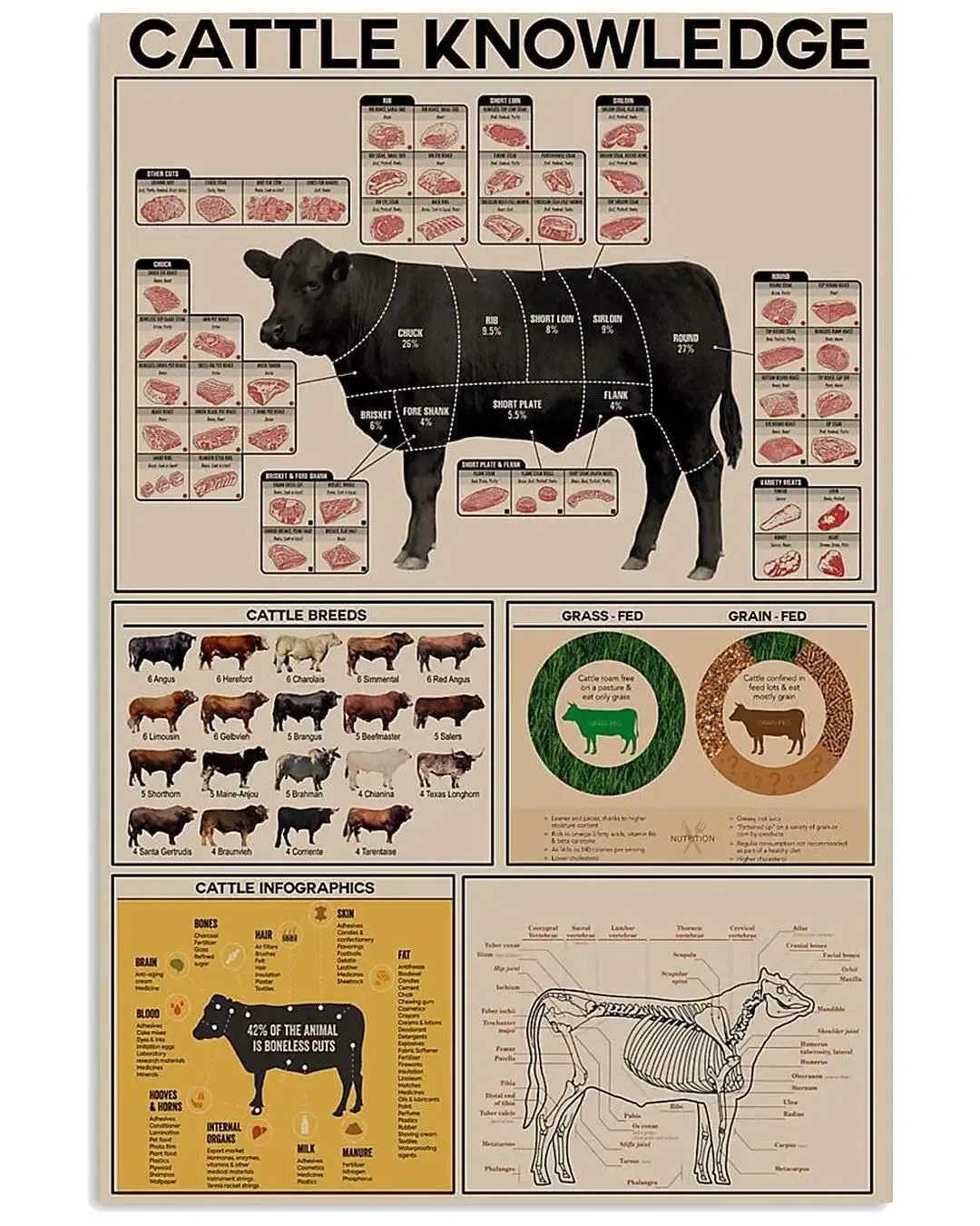 

Cattle Knowledge Metal Tin Sign Breed Information Poster Animal Farm Anatomy Club School Educational Wall Decoration Plaque