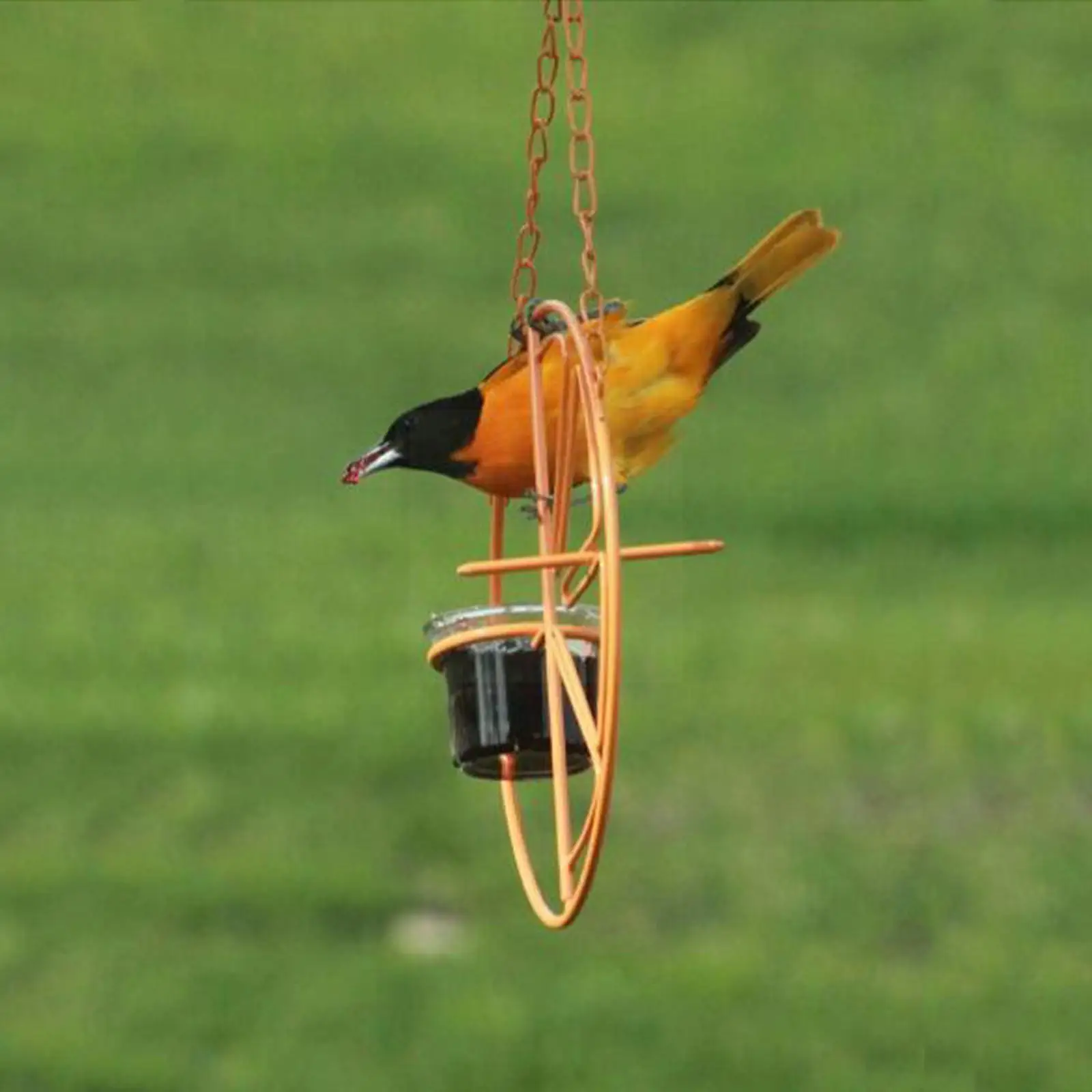 

Уличная Кормушка Для Колибри, металлическая подвесная водная кормушка, держатель для кормления птиц, подставка для птиц, товары для домашни...