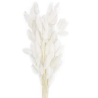 60 stems natural dried lagurus ovatus flowers real bouquet with rabbit tail dried pampas flowers decoration