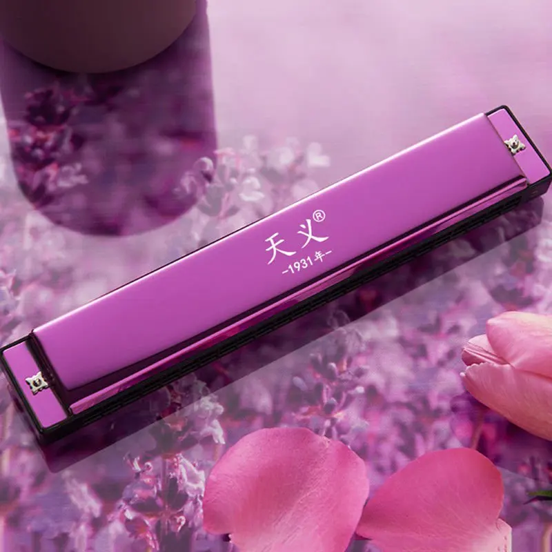 

Металлическая гармошка для начинающих с 24 отверстиями из смолы профессиональная самоучитель C-клавиши Детские сценические Музыкальные инс...