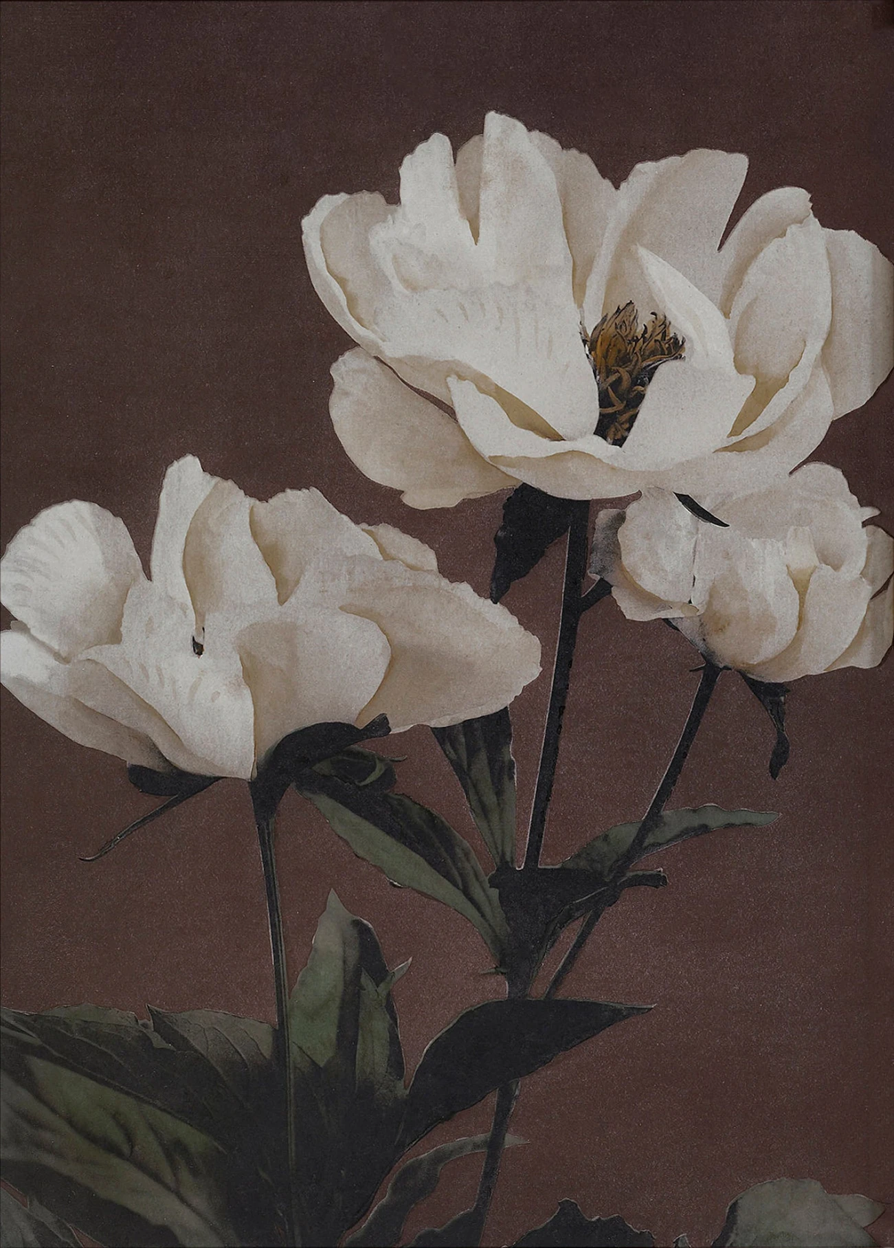 

Портрет женщины, EnjoytheSpirit, канваса