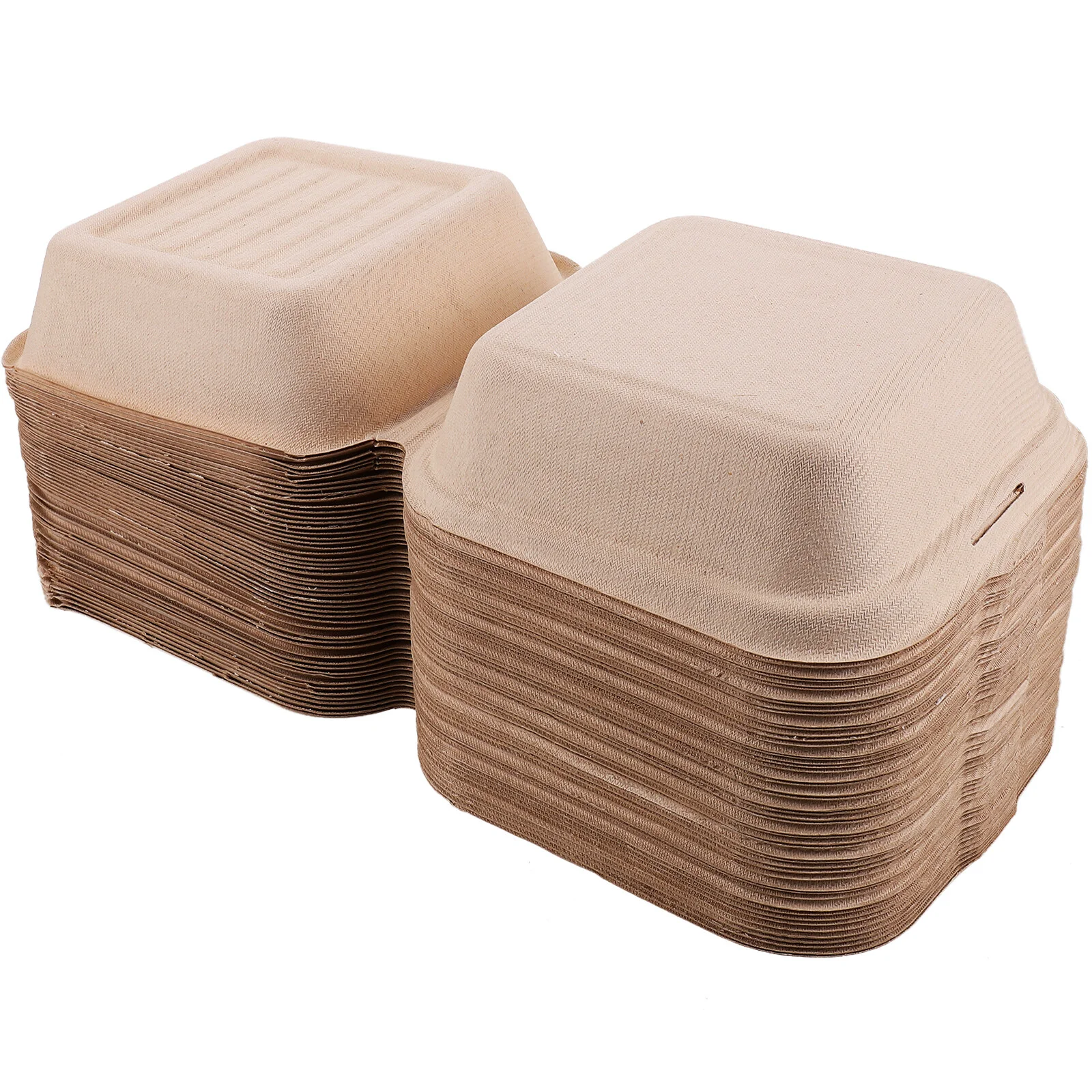 

Tray Versatile Packaging Containers Lunch Box Containers Outdoor Dessert Burger Bread