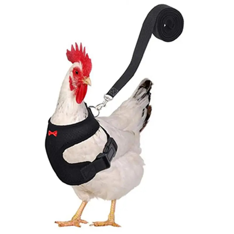 Duck Leash For Real Ducks Adjustable Chicken Harness With Leash Chicken Hats For Hens Funny Chicken Accessories Vest Harness