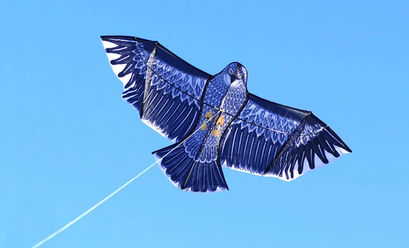 Бесплатная доставка Eagle kite juegos Gigantes para exterior giochi giardino esterno trompo con cuerda carretilha pipa linha fun