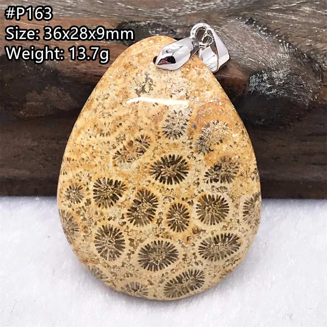 

Top Natural White Chrysanthemum Precious Coral Pendant Jewelry For Women Men Healing Gift Crystal Silver Beads Gemstone AAAAA