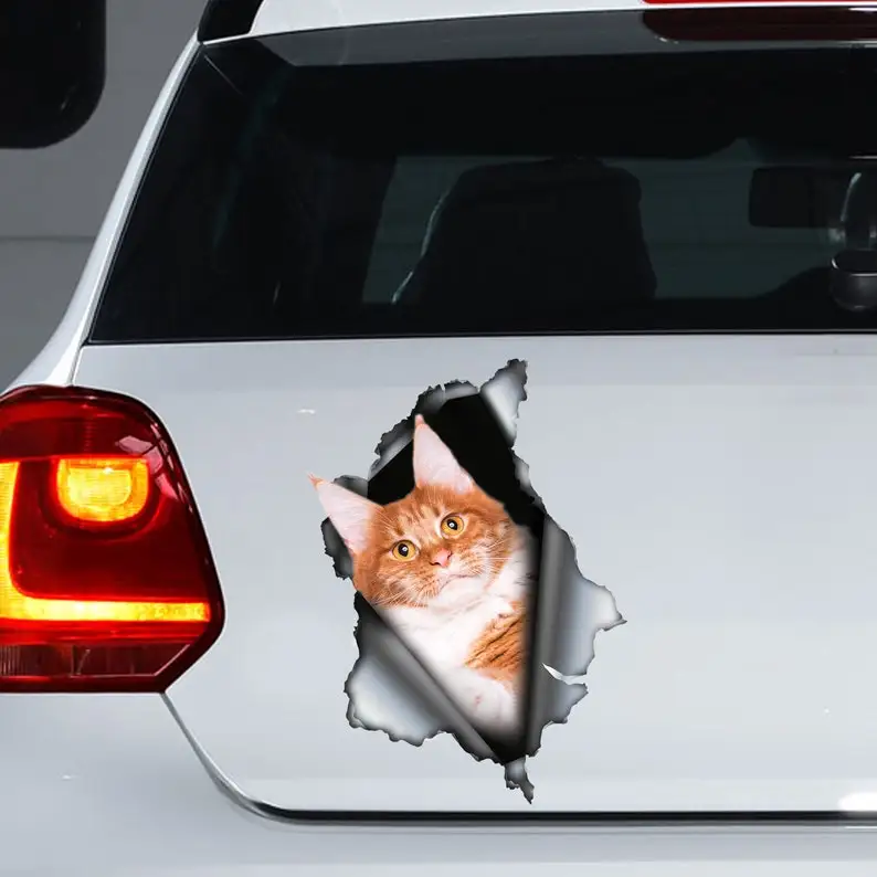 

Red Maine Coon car decal, maine coon magnet, maine coon car sticker, cat decal