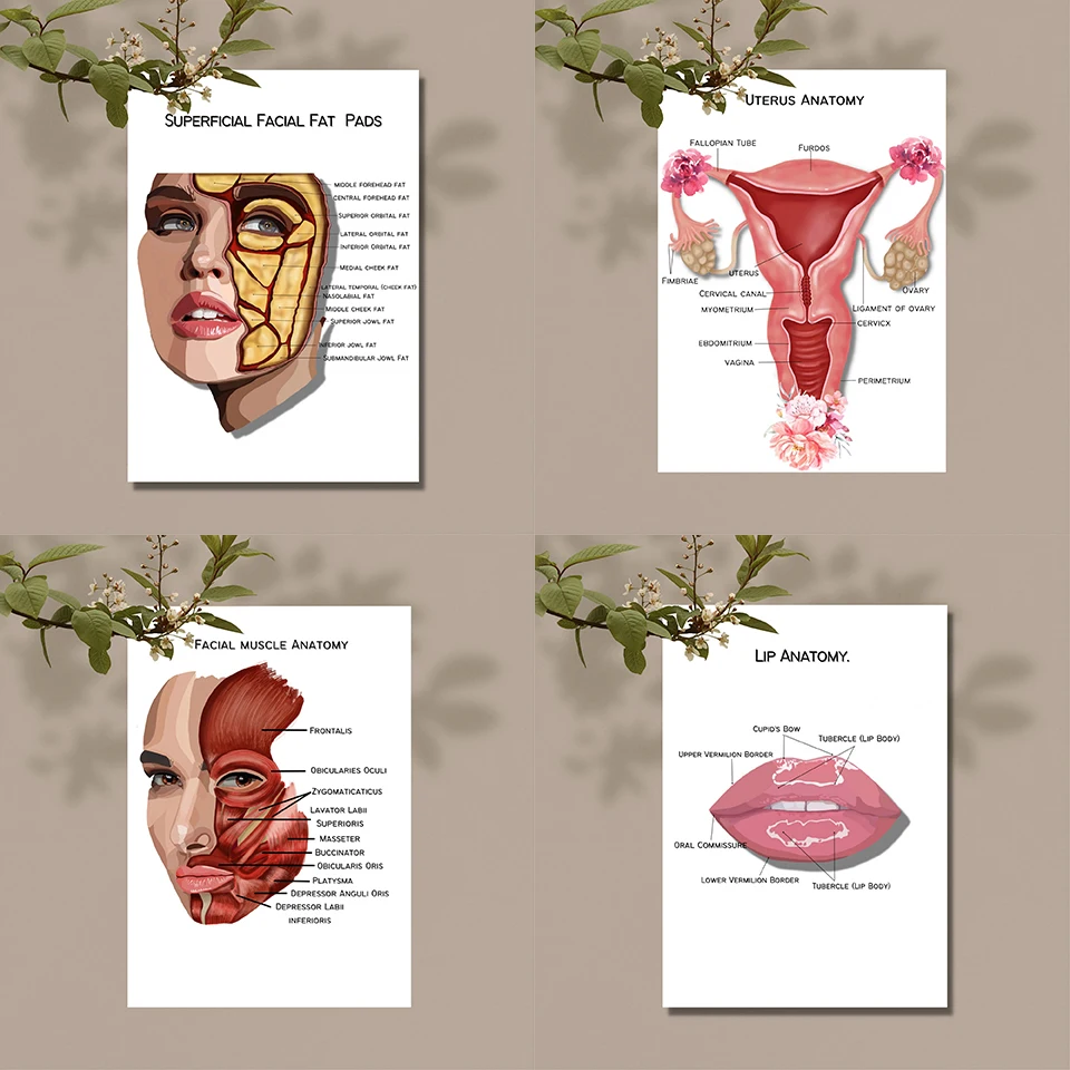 

Модульные картины Hd для фототерапии лица, анатомии мышц, живопись на холсте, домашний декор, плакат, настенное искусство, пластмассовый хиру...