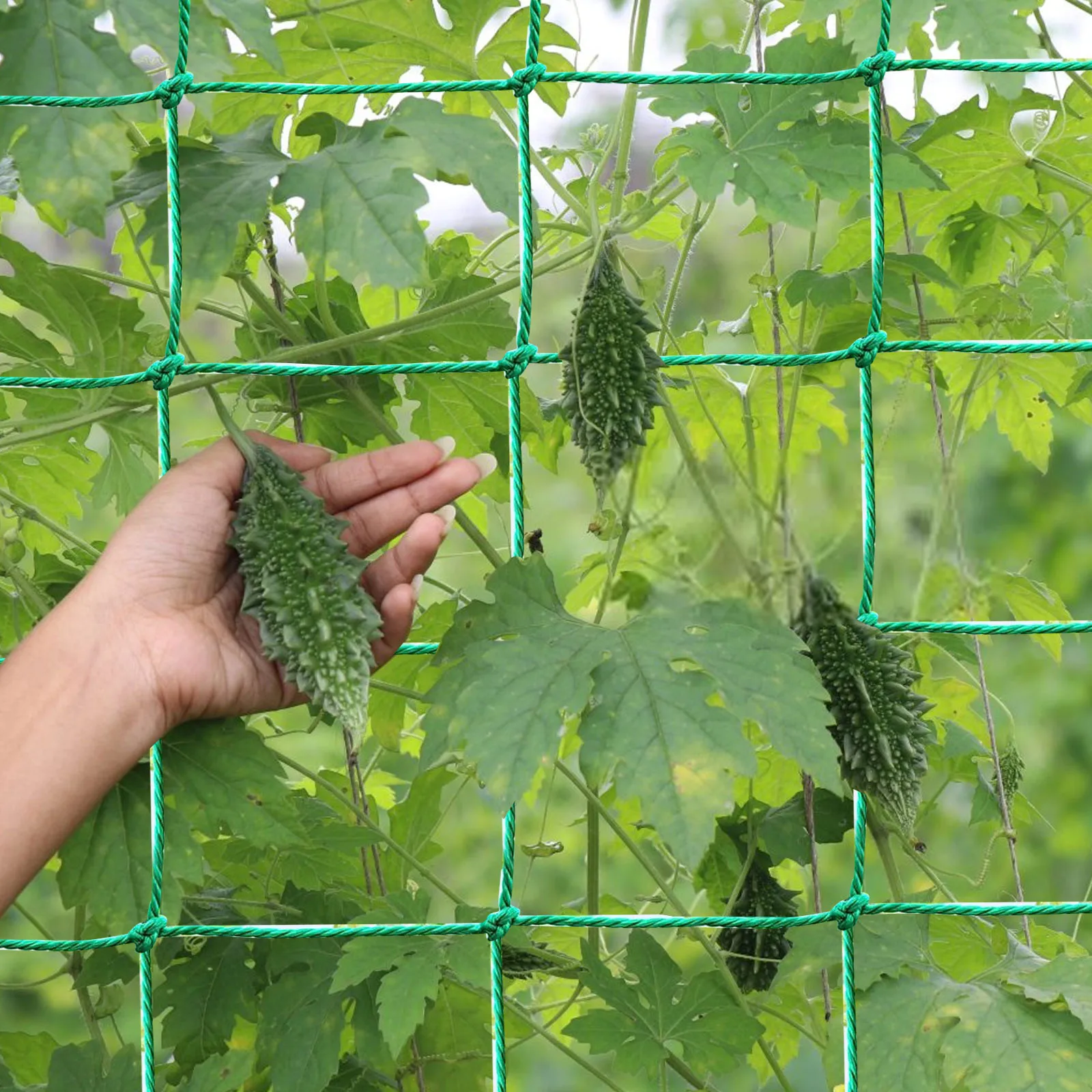 Сетка для подъема растений тяжелая садовая решетка лозы фруктов и овощей