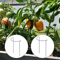 4pcs metal plant support stake half round garden plant ring border support cage for tomato roses flowers vine