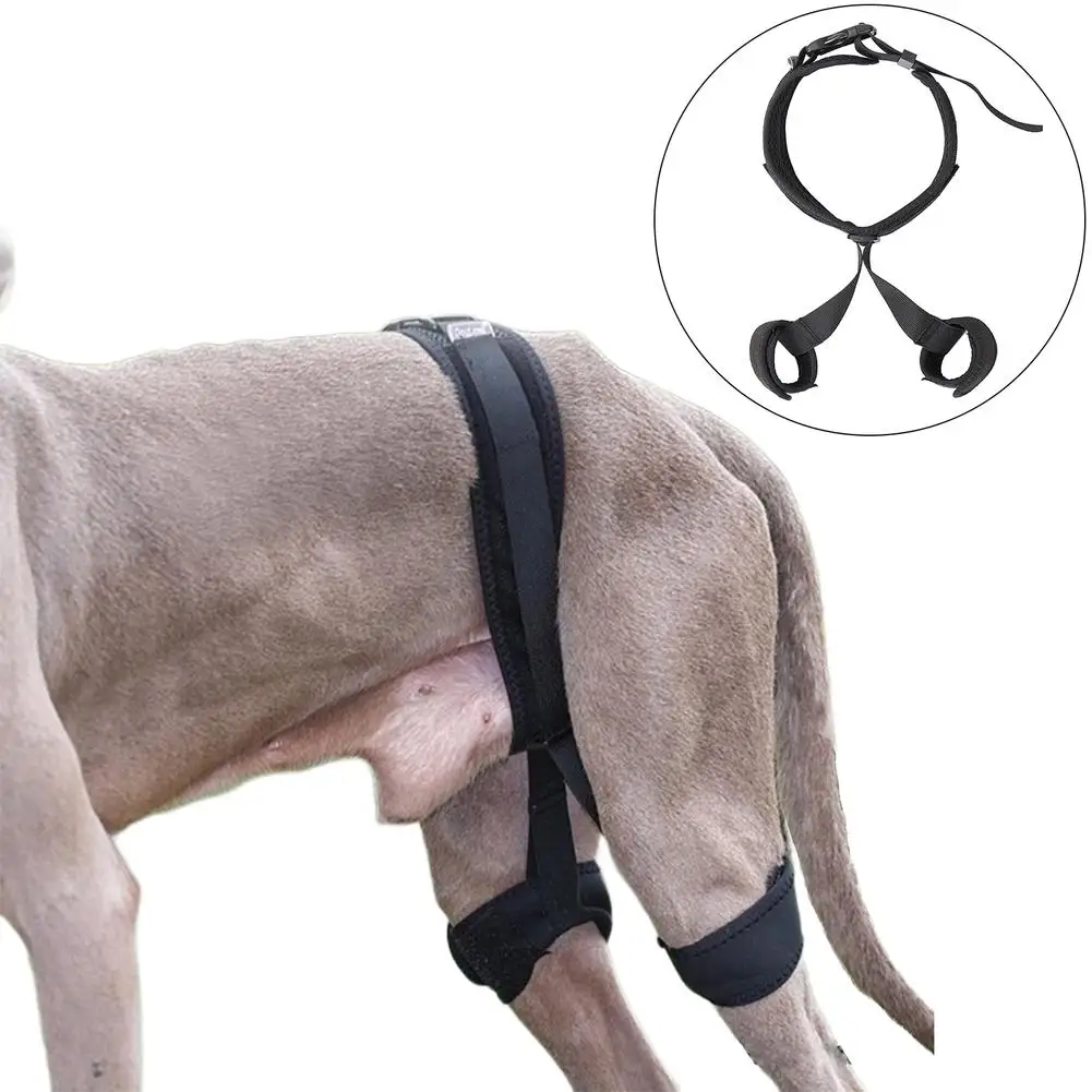 

Pet Dog Leg Brace Comfortable Breathable Adjustable Leg Joint Compression Wrap For Relieves Pain
