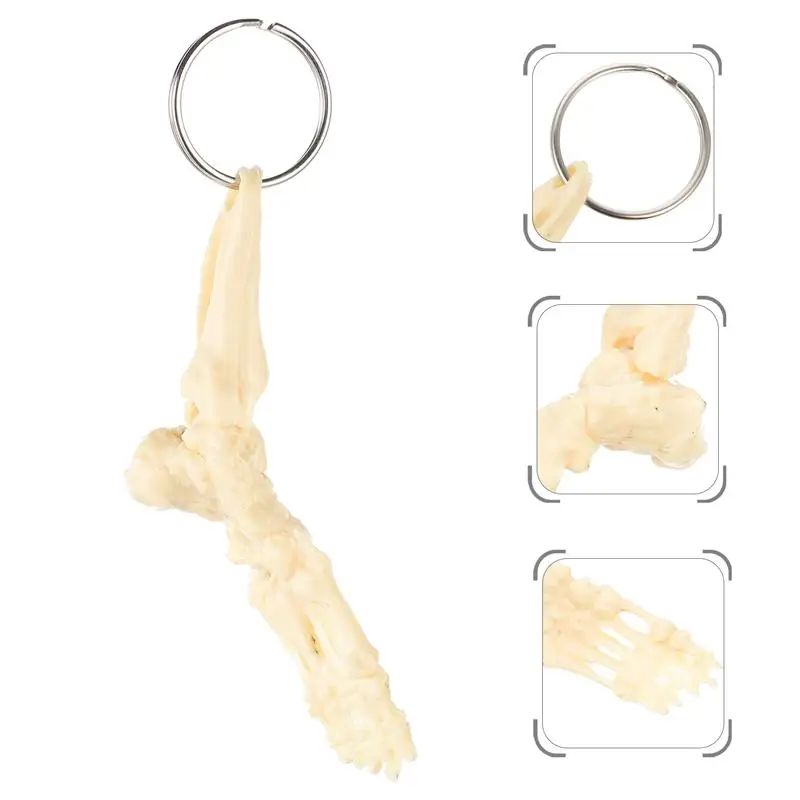 

Foot Joint Key Chain Bone Model Pendant Bag Hanging Decor Creative Key Ring