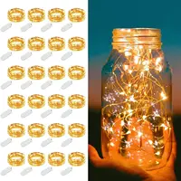 24Pack Fairy Lights LED Mini Waterproof String Light Copper Wire Firefly Starry Lights for Wedding Party Mason Jars Crafts Decor