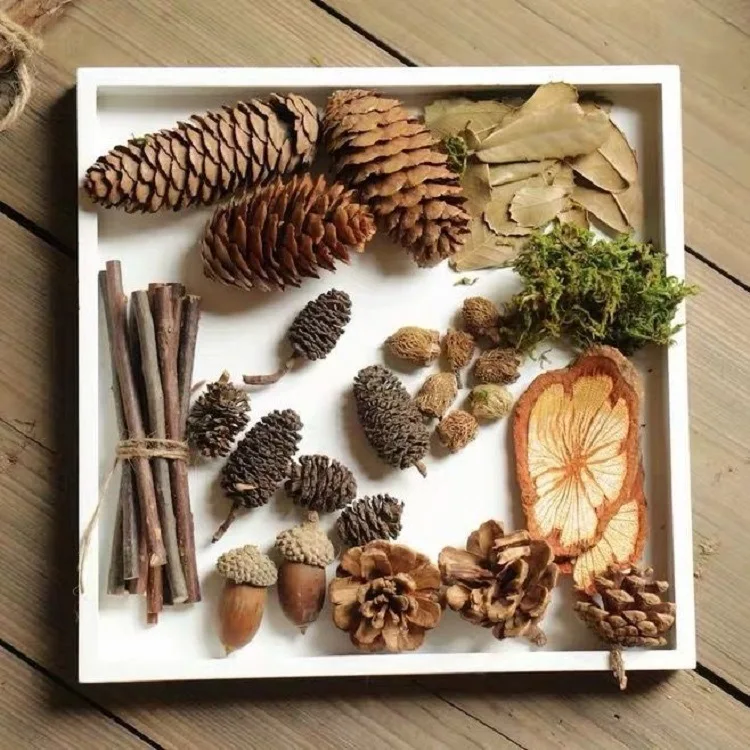 

Photography photo props decoration diy creative retro forest decoration set cosmetic decorations with background