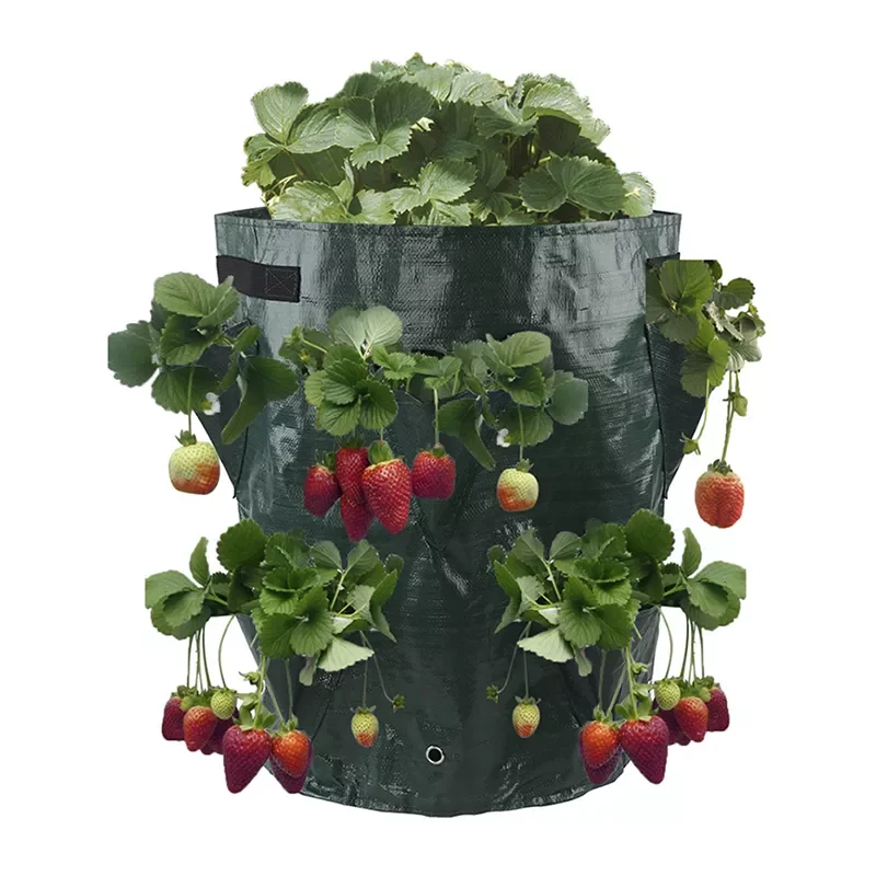 

Garden Planting Bag Strawberry Grow Bag 3L Multi-mouth Vertical Flower Herb Tomato Planter Bag
