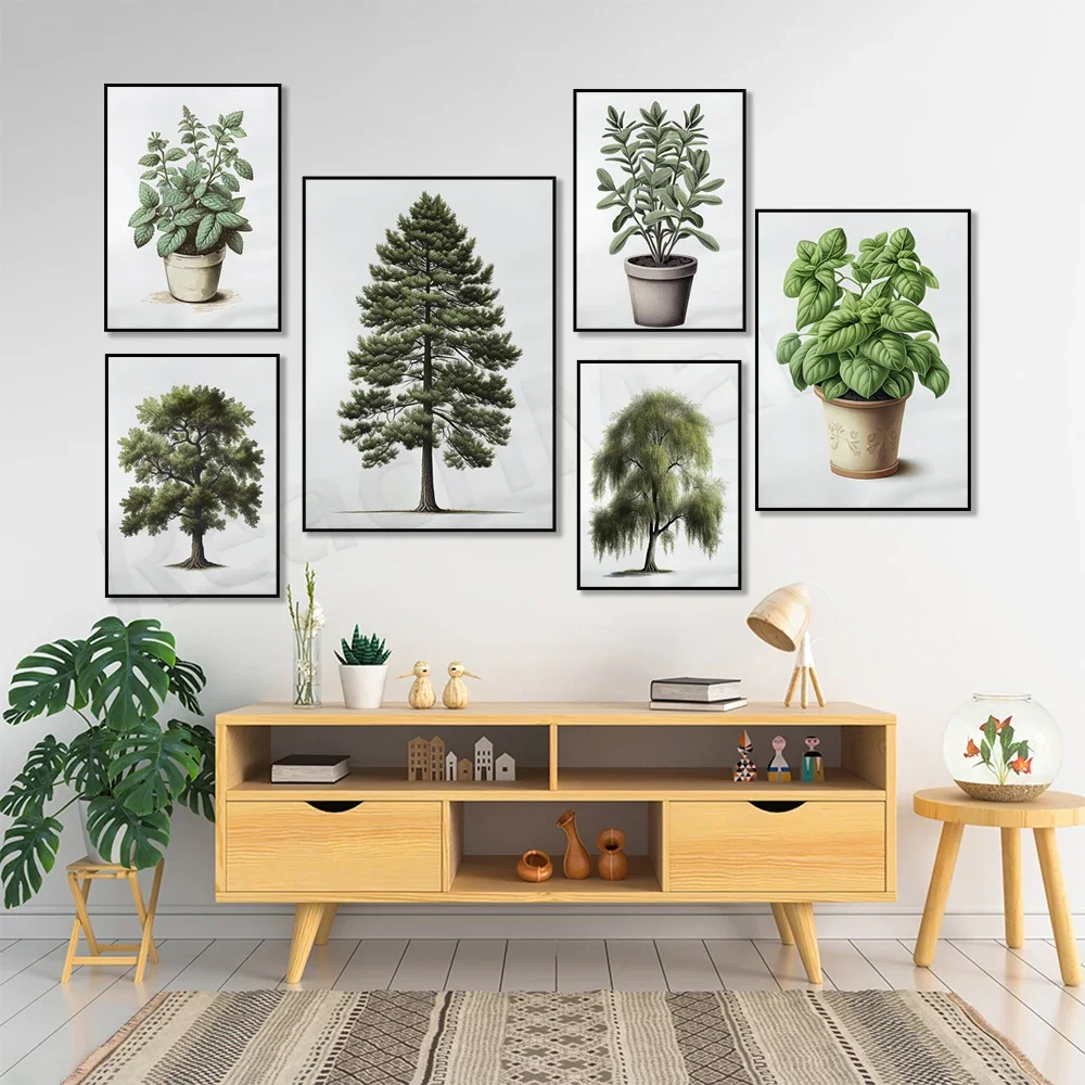 Ботанический плакат сосна дуб принт ивы кактус шалфей мята базилик алоэ вера